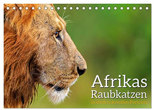 Afrikas Raubkatzen in eindrucksvollen Portraits (Tischkalender 2026 DIN A5 quer), CALVENDO Monatskalender: Eindrucksvolle hochauflösende Portraits von ... faszienierenden Raubkatzen (CALVENDO Tiere)