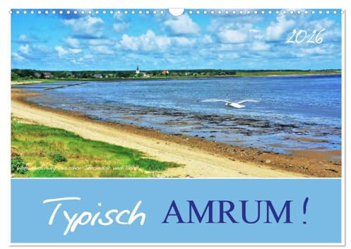 Typisch Amrum! (Wandkalender 2026 DIN A3 quer), CALVENDO Monatskalender: Amrum - Nordseeflair pur! (CALVENDO Orte)