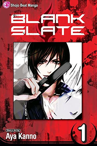 Blank Slate, Vol. 1: Questions (Volume 1)