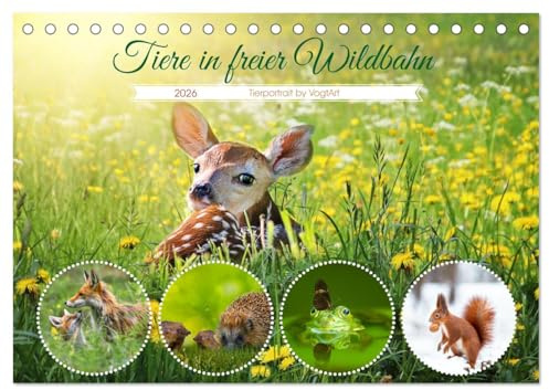 Tiere in freier Wildbahn by VogtArt (Tischkalender 2026 DIN A5 quer), CALVENDO Monatskalender: Was gibt es schöneres als Tiere in Ihrer natürlichen Umgebung (CALVENDO Natur)