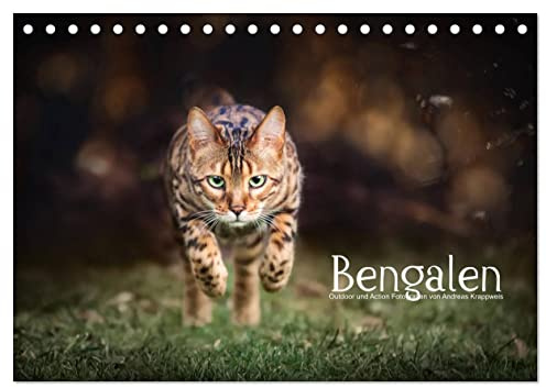Bengalen Outdoor und Action (Tischkalender 2026 DIN A5 quer), CALVENDO Monatskalender: Bengalen, die kleinen Leoparden in freier Natur (CALVENDO Tiere)