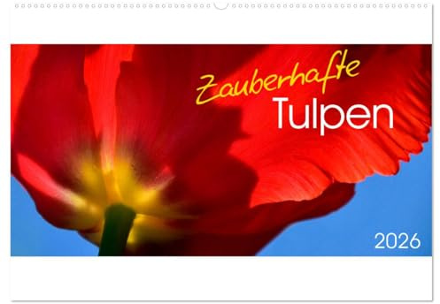 Zauberhafte Tulpen (Wandkalender 2026 DIN A2 quer), CALVENDO Monatskalender: Die Blumen des Frühlings sind die Träume des Winters (Khalil Gibran) (CALVENDO Natur)