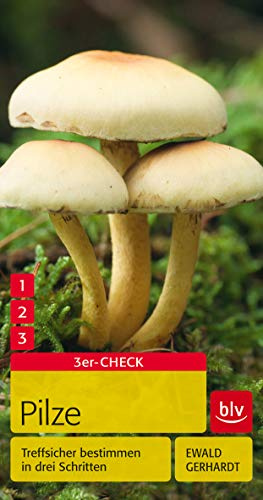 Pilze: Treffsicher bestimmen in drei Schritten (BLV Pilze)