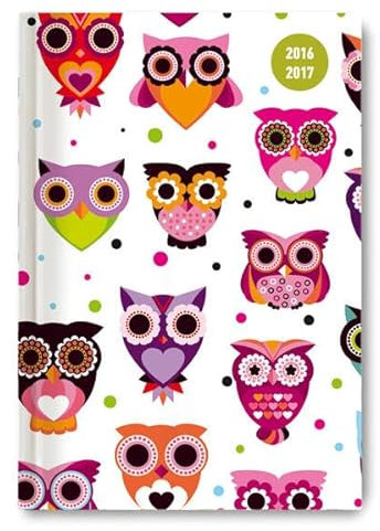 Collegetimer Pocket Owls 2016/2017 - Schülerkalender A6 - Day By Day - 352 Seiten: Terminkalender. Kalendarium mit 1 Tag pro Seite