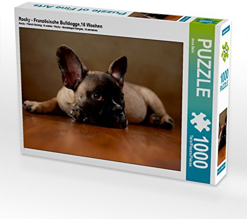 CALVENDO Puzzle Rocky - Französische Bulldogge,16 Wochen | 1000 Teile Lege-Größe 64 x 48 cm Foto-Puzzle für glückliche Stunden