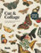 Cut and Collage: A Treasury of Butterflies and Winged Insects for Collage and Mixed Media Artists