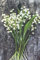 Lilies of the Valley - Blank Notebook with Fleur de Lis Corners: Soft Cover, 6 x 9 Journal, 100 Pages