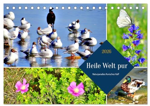 Heile Welt pur - Naturparadies Kurisches Haff (Tischkalender 2026 DIN A5 quer), CALVENDO Monatskalender: Flora und Fauna am Kurischen Haff (CALVENDO Natur)
