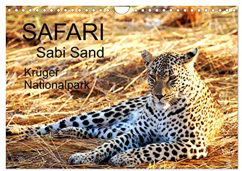 Safari/Afrika (Wandkalender 2026 DIN A4 quer), CALVENDO Monatskalender: Traumhafte Safari-Reise in Sabi Sand Big 5 hautnahe erleben (CALVENDO Tiere)