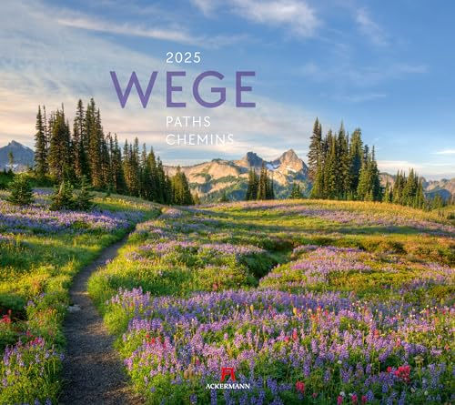Wege Kalender 2025, Wandkalender im Querformat (54x48 cm) - Landschaftskalender mit traumhaften Pfaden in der Natur