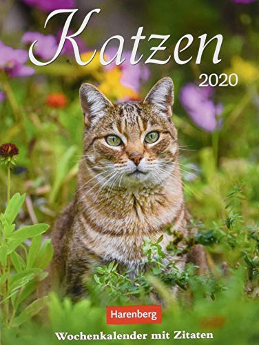 Katzen Wochenkalender. Wandkalender 2020. Wochenkalendarium. Spiralbindung. Format 16,5 x 23 cm: Wochenkalender mit Zitaten