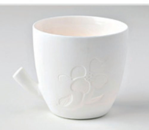 HERVIT Tazza Portatealite Porc.Bisquit 7,5cm(H) FIORE