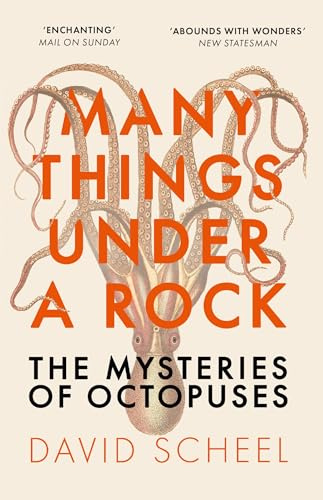 Many Things Under a Rock: The ‘mind-blowing’ book that reveals the mysteries of the octopus, perfect for all science enthusiasts and fans of David Attenborough