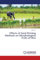 Effects of Seed Priming Methods on Morphological Traits of Rice