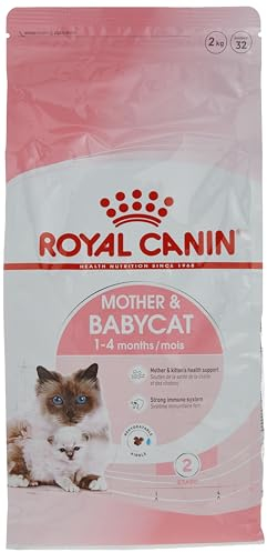 Royal Canin 55172 Babycat 2 kg - Katzenfutter