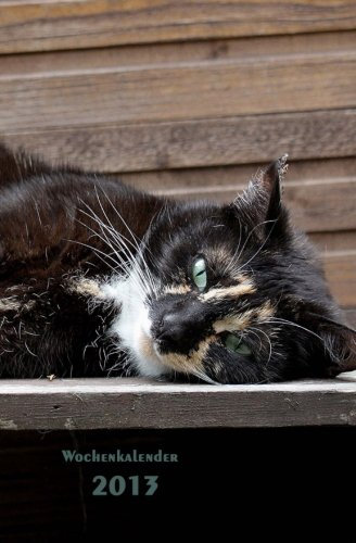 Wochenkalender 2013: rechte Seite Kalender, linke Seite Notizbuch, 1 Woche = 1 Seite, ca A5