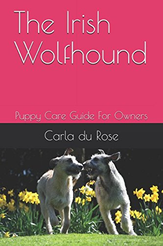 The Irish Wolfhound: Puppy Care Guide For Owners