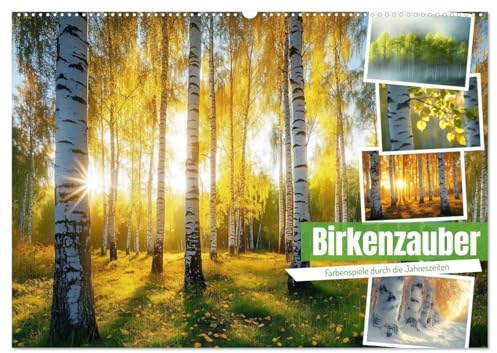 Birkenzauber (Wandkalender 2026 DIN A2 quer), CALVENDO Monatskalender: Tauchen Sie ein in die zauberhafte Welt der Birken! Dieser Kalender entführt ... Vielfalt des Birkenwaldes. (CALVENDO Natur)