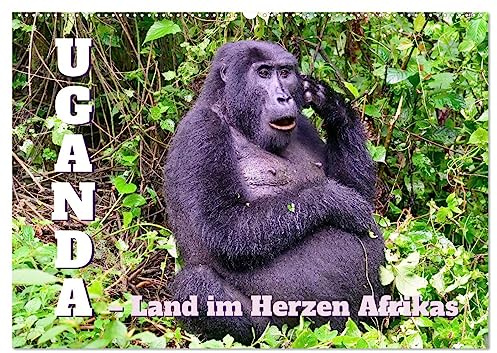 Uganda – Land im Herzen Afrikas (Wandkalender 2026 DIN A2 quer), CALVENDO Monatskalender: Uganda, ein Land mit einer herausragenden Natur und vielen Ethnien. (CALVENDO Natur)