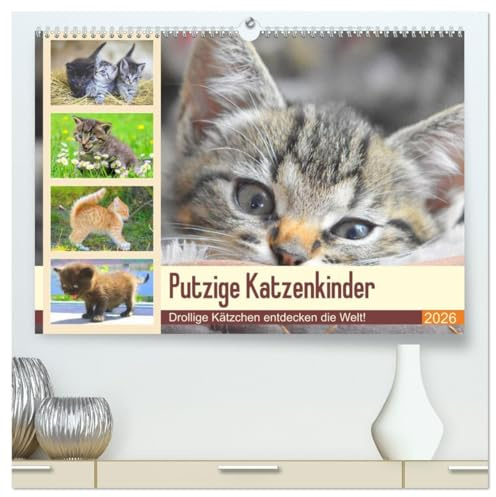 Putzige Katzenkinder. Drollige Kätzchen entdecken die Welt! (hochwertiger Premium Wandkalender 2026 DIN A2 quer), Kunstdruck in Hochglanz: Winzige Freigänger auf Entdeckungsreise! (CALVENDO Tiere)