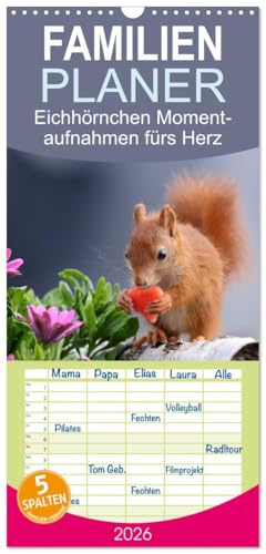 Familienplaner 2026 - Eichhörnchen Momentaufnahmen fürs Herz mit 5 Spalten (Wandkalender, 21 cm x 45 cm), CALVENDO: Wunderschöne Großaufnahmen entsprechend der jeweiligen Jahreszeit (CALVENDO Tiere)