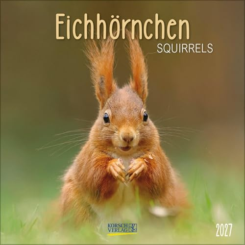 Eichhörnchen 2027: Broschürenkalender mit Ferienterminen. Format: 30 x 30 cm