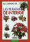 El cuidado de las plantas de interior (Pequeñas Joyas)