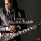 ALLIGATOR RECORDS