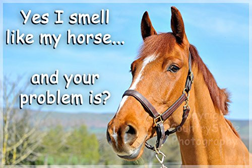 Horse Pony Equestrian Funny Fridge Magnet - Yes I smell like my horse
