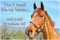 Horse Pony Equestrian Funny Fridge Magnet - Yes I smell like my horse