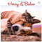 Henry & Baloo Our Wild Tails 2021 Calendar