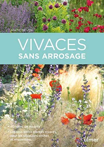 Vivaces sans arrosage: 40 idées de massifs. Les plus belles plantes vivaces pour les situations sèches et ensoleillés