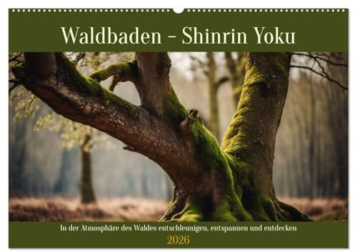 Waldbaden - Shinrin Yoku (Wandkalender 2026 DIN A2 quer), CALVENDO Monatskalender: In der Atmosphäre des Waldes entschleunigen, entspannen und entdecken (CALVENDO Gesundheit)