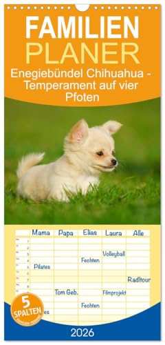Familienplaner 2026 - Enegiebündel Chihuahua - Temperament auf vier Pfoten mit 5 Spalten (Wandkalender, 21 cm x 45 cm), CALVENDO: Die kleinste ... auf 13 faszinierenden Fotos (CALVENDO Tiere)