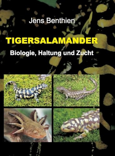 Tigersalamander: Biologie, Haltung und Zucht