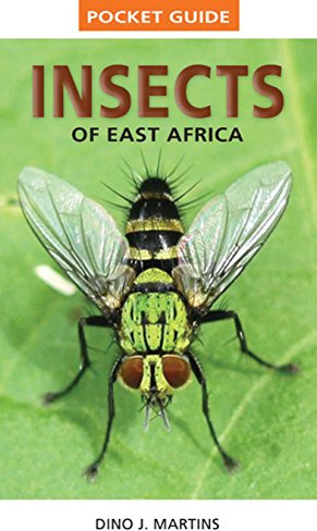 Pocket Guide Insects of East Africa (Pocket Guides)