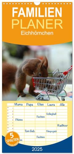 Familienplaner 2025 - Spaß mit Eichhörnchen! mit 5 Spalten (Wandkalender, 21 cm x 45 cm), CALVENDO: Eichhörnchenfotografie, der Jahreszeit entsprechend lustig in Szene gesetzt. (CALVENDO Tiere)