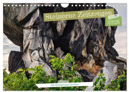 Steinerne Zeitzeugen (Wandkalender 2026 DIN A4 quer), CALVENDO Monatskalender: Fotos der Teuerfelsmauer im Harz (CALVENDO Natur)