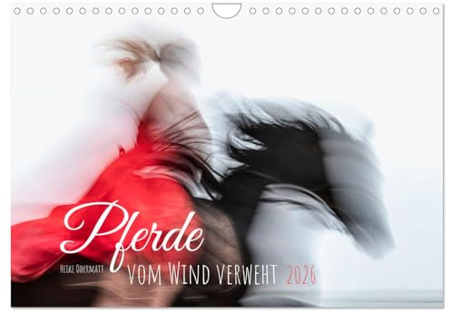 Pferde vom Wind verweht (Wandkalender 2026 DIN A4 quer), CALVENDO Monatskalender: Poetische und künstlerische Pferdefotografie (CALVENDO Tiere)
