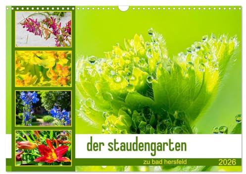 der staudengarten zu bad hersfeld (Wandkalender 2026 DIN A3 quer), CALVENDO Monatskalender: Der Fotokünstler Steffen Sennewald hat das üppige ... Jahreszeiten porträtiert. (CALVENDO Natur)