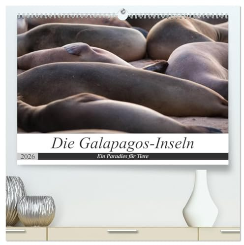 Galapagos-Inseln - Ein Paradies für Tiere (hochwertiger Premium Wandkalender 2026 DIN A2 quer), Kunstdruck in Hochglanz: Die faszinierende Tierwelt der Galapagos-Inseln (CALVENDO Tiere)