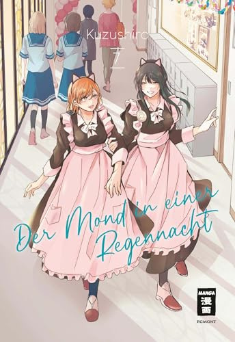 Der Mond in einer Regennacht 07