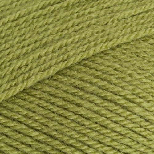 Stylecraft 9041065 Special DK Meadow (1065) Yarn - 100g