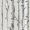 NuWallpaper Papier Peint adhésif Bouleaux »