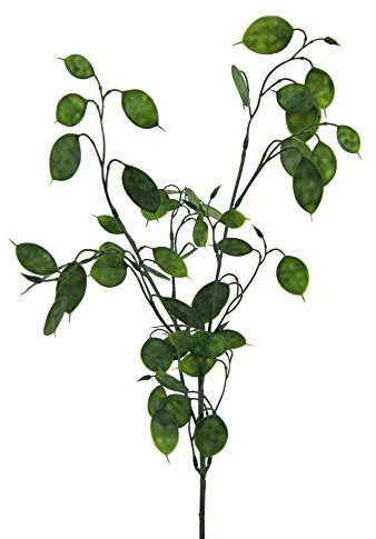 Gasper Kunstpflanze PFENNIGBLATTZWEIG ca 73 cm. Glückstaler, Geldbaum.