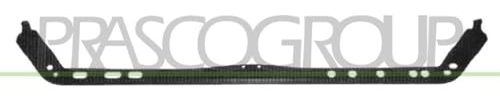 Prasco - FT1323218 - Fiat - Punto - Mod. 01/93 - 05/99 - Kuehlertraeger