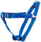 TRIXIE Premium One Touch Geschirr Größe XS–S: Brustumfang 30–40 cm/10 mm in royalblau - leicht anzulegendes verstellbares Hundegeschirr mit zugentlastender Schnalle für kleine Hunde, 204302