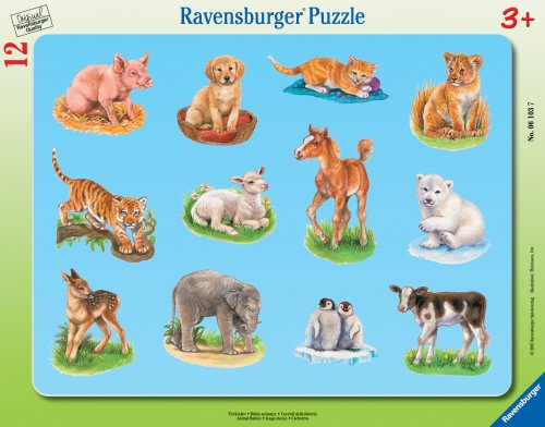 Ravensburger 061037 - Tierkinder, 8-17 Teile Rahmenpuzzle