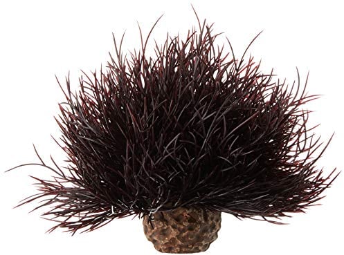 biOrb Fish Tank Decorations, Aquatic Sea Lily Plant With Weighted Ball (1 x Red Aquarium Plant), Artificial Fish Tank Plants To Add Colour, Natural-Looking Aquarium Decor For Scenic Background