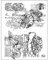 Viva Decor®️ Clear-Stamps (Gerbera & Pfingstrose) Silikon Stempel - Prägung Stempel - DIY Dekoration stanzen - Stempel Silikon - DIY Stamp - Stempel Prägung - Made in Germany